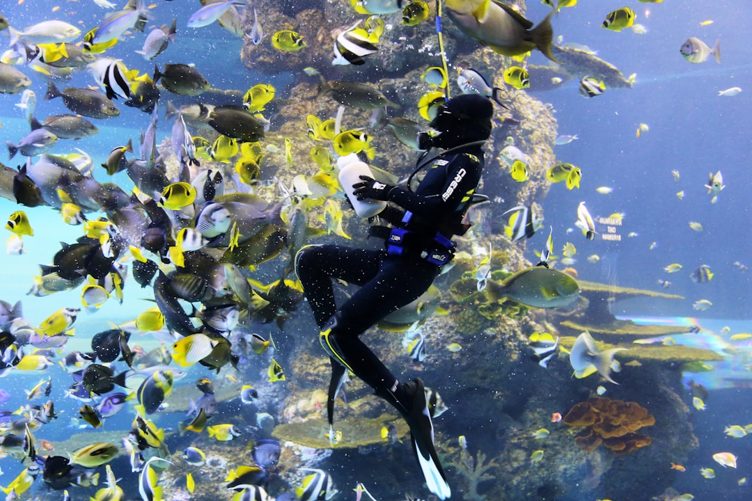 Reef Tank Maintenance Schedule: Daily, Weekly, and Monthly Tasks